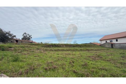 Helårsgrund i Ponte de Lima, Viana do Castelo, Ponte de Lima - € 69.000 | Ref: V435 - foto 2