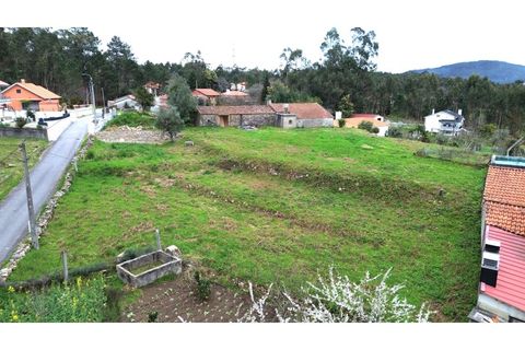 Helårsgrund i Ponte de Lima, Viana do Castelo, Ponte de Lima - € 69.000 | Ref: V435 - foto 7