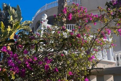 Villa a Rojales, Alicante, Rojales - € 525.000 | Ref: MLSC3493522/13477 - foto 41