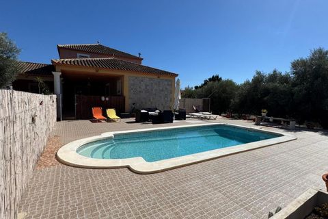 Finca i Albatera, Alicante, Albatera - € 280.000 | Ref: MCO-12953 - foto 17