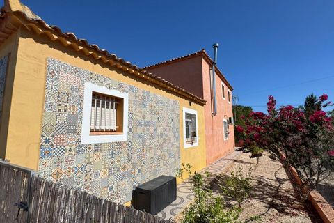 Finca i Albatera, Alicante, Albatera - € 280.000 | Ref: MCO-12953 - foto 19