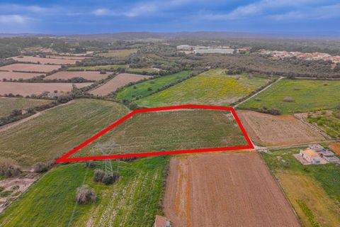 Helårsgrund i Muro, Mallorca, Muro - € 49.900 | Ref: 08MR012/10961 - foto 1
