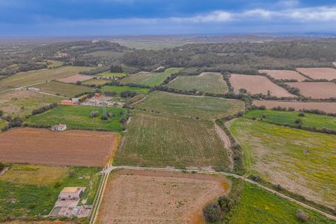 Helårsgrund i Muro, Mallorca, Muro - € 49.900 | Ref: 08MR012/10961 - foto 6