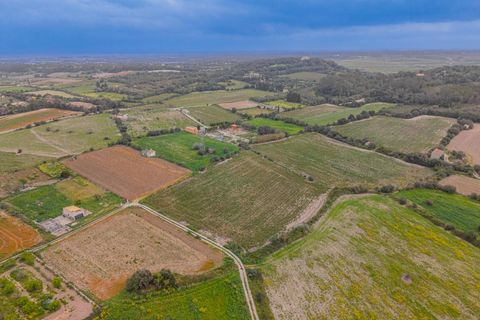 Helårsgrund i Muro, Mallorca, Muro - € 49.900 | Ref: 08MR012/10961 - foto 7