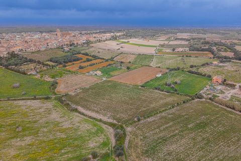 Helårsgrund i Muro, Mallorca, Muro - € 49.900 | Ref: 08MR012/10961 - foto 8