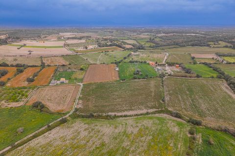 Helårsgrund i Muro, Mallorca, Muro - € 49.900 | Ref: 08MR012/10961 - foto 9