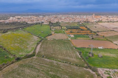 Helårsgrund i Muro, Mallorca, Muro - € 49.900 | Ref: 08MR012/10961 - foto 10