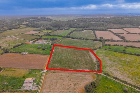 Helårsgrund i Muro, Mallorca, Muro - € 49.900 | Ref: 08MR012/10961 - foto 11