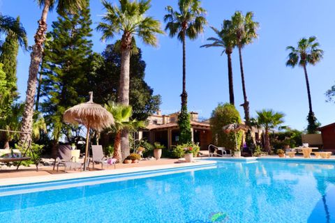 Hus på landet i Rojales, Alicante - foto 1