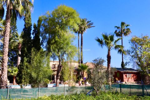 Hus på landet i Rojales, Alicante - foto 2