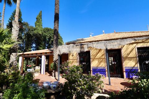 Landejendom i Rojales, Alicante, Rojales - € 599.000 | Ref: PCE-1452 - foto 45