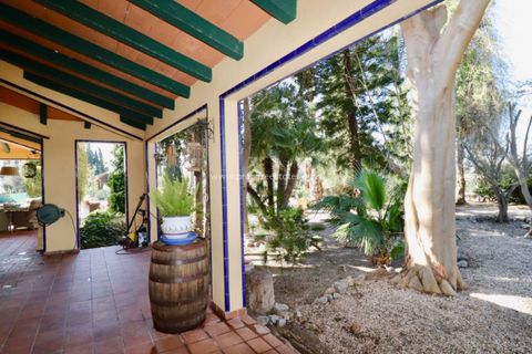 Landejendom i Rojales, Alicante, Rojales - € 599.000 | Ref: PCE-1452 - foto 48