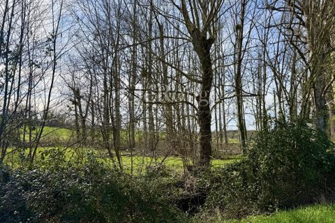 Villa a Duras, Lot-et-Garonne, Duras - € 299.000 | Ref: CCG066 - foto 19
