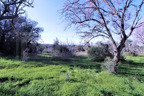 Helårsgrund i Guia, Faro, Guia - € 750.000 | Ref: STC2449 - foto 8