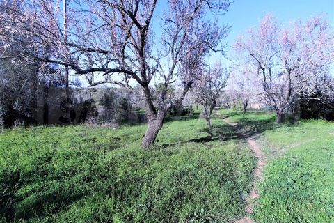 Helårsgrund i Guia, Faro, Guia - € 750.000 | Ref: STC2449 - foto 9