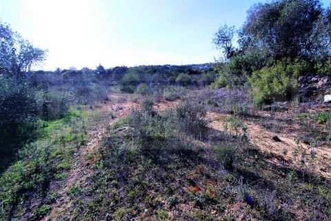 Helårsgrund i Guia, Faro, Guia - € 750.000 | Ref: STC2449 - foto 10
