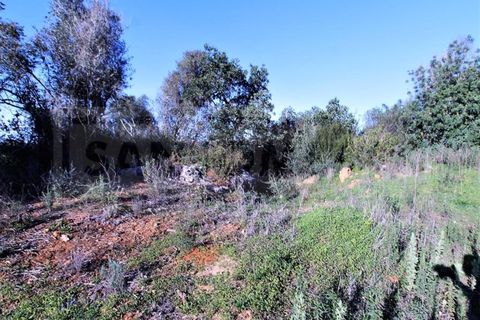 Helårsgrund i Guia, Faro, Guia - € 750.000 | Ref: STC2449 - foto 11