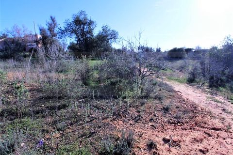 Helårsgrund i Guia, Faro, Guia - € 750.000 | Ref: STC2449 - foto 12
