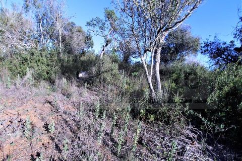 Helårsgrund i Guia, Faro, Guia - € 750.000 | Ref: STC2449 - foto 13