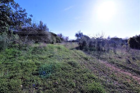 Helårsgrund i Guia, Faro, Guia - € 750.000 | Ref: STC2449 - foto 14