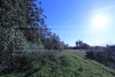 Helårsgrund i Guia, Faro, Guia - € 750.000 | Ref: STC2449 - foto 15