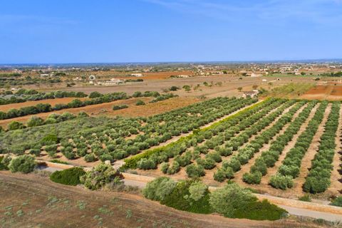 Finca i Campos, Mallorca, Campos - € 2.990.000 | Ref: 3488 - foto 13