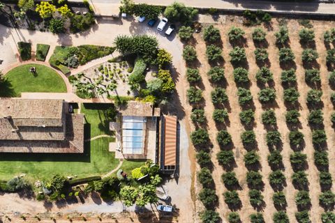 Finca i Campos, Mallorca, Campos - € 2.990.000 | Ref: 3488 - foto 14