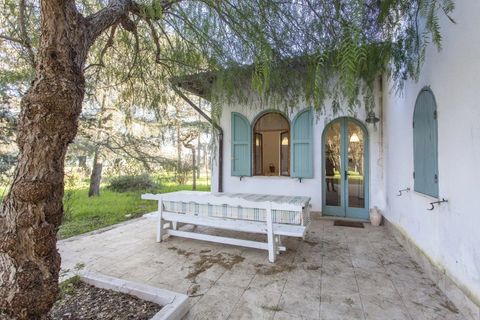 Villa em Manduria, Taranto, Manduria - € 360.000 | Ref: V775 - foto 17
