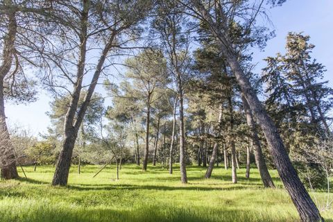 Villa em Manduria, Taranto, Manduria - € 360.000 | Ref: V775 - foto 20