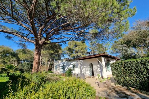 Villa em Manduria, Taranto, Manduria - € 360.000 | Ref: V775 - foto 21