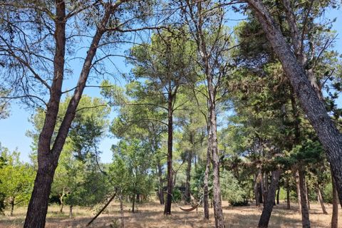 Villa em Manduria, Taranto, Manduria - € 360.000 | Ref: V775 - foto 22