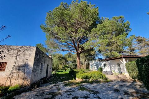 Villa em Manduria, Taranto, Manduria - € 360.000 | Ref: V775 - foto 24