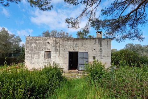 Villa em Manduria, Taranto, Manduria - € 360.000 | Ref: V775 - foto 25