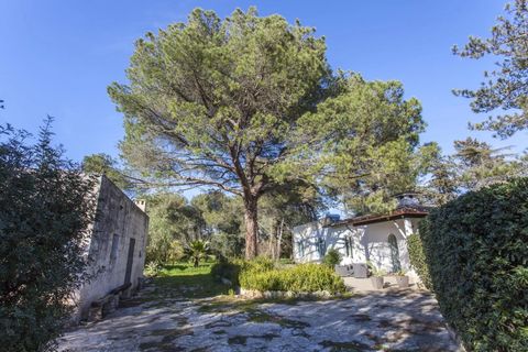 Villa em Manduria, Taranto, Manduria - € 360.000 | Ref: V775 - foto 29