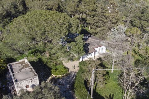 Villa em Manduria, Taranto, Manduria - € 360.000 | Ref: V775 - foto 31