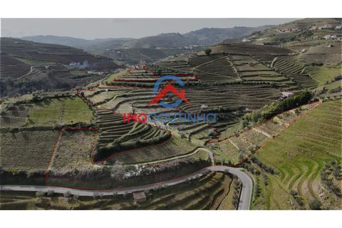 Farm i Moimenta da Beira, Viseu, Moimenta da Beira - € 100.000 | Ref: MAS_51 - foto 1