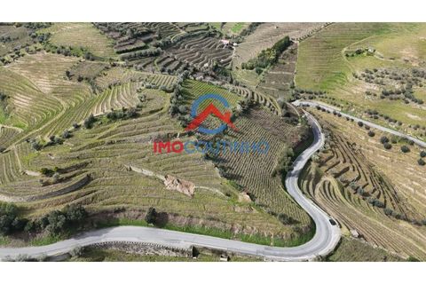 Farm i Moimenta da Beira, Viseu, Moimenta da Beira - € 100.000 | Ref: MAS_51 - foto 3