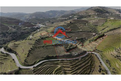 Farm i Moimenta da Beira, Viseu, Moimenta da Beira - € 100.000 | Ref: MAS_51 - foto 4