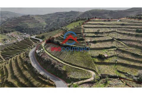 Farm i Moimenta da Beira, Viseu, Moimenta da Beira - € 100.000 | Ref: MAS_51 - foto 5
