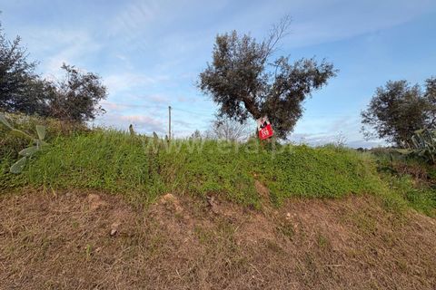 Helårsgrund i Abrantes, Santarem, Abrantes - € 43.500 | Ref: 102260048 - foto 2