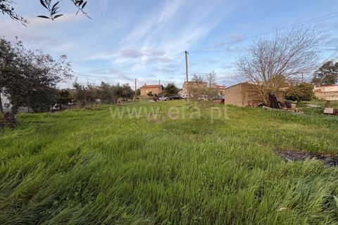 Helårsgrund i Abrantes, Santarem, Abrantes - € 43.500 | Ref: 102260048 - foto 3