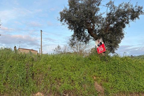 Helårsgrund i Abrantes, Santarem, Abrantes - € 43.500 | Ref: 102260048 - foto 5