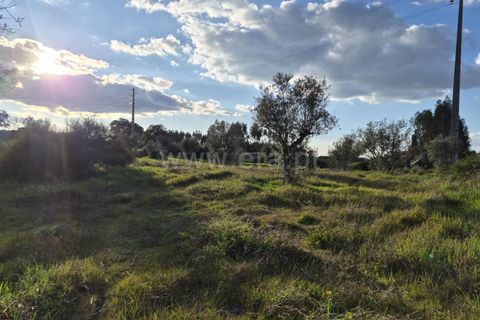 Terra a Nisa, Portalegre, Nisa - € 27.500 | Ref: 102260043 - foto 6