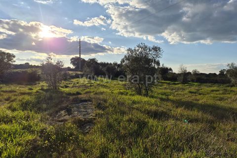 Terra a Nisa, Portalegre, Nisa - € 27.500 | Ref: 102260043 - foto 7
