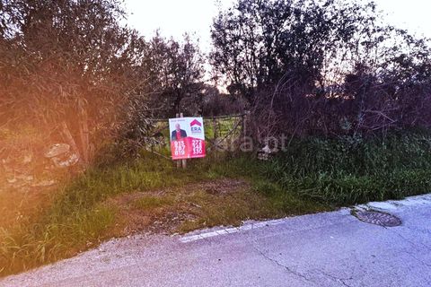 Terra a Nisa, Portalegre, Nisa - € 27.500 | Ref: 102260043 - foto 8