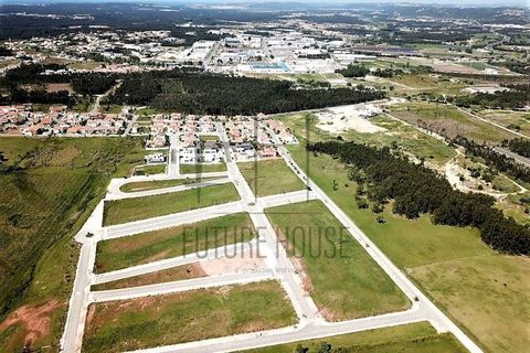 Helårsgrund i Santo Onofre e Serra do Bouro, Leiria, Santo Onofre e Serra do Bouro - € 140.000 | Ref: TPC-008 - foto 3