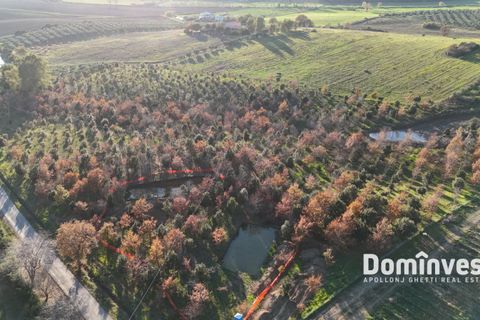 Landejendom i Capalbio, Grosseto, Capalbio - € 1.070.000 | Ref: V-253 - foto 4