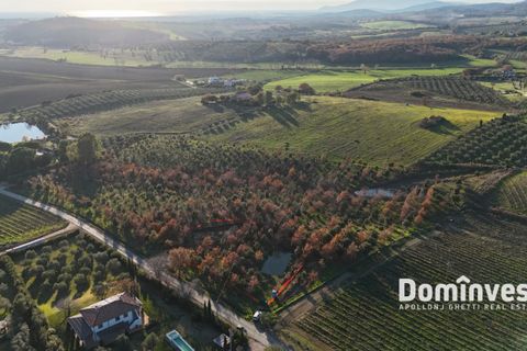 Landejendom i Capalbio, Grosseto, Capalbio - € 1.070.000 | Ref: V-253 - foto 5