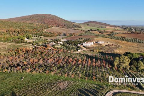 Landejendom i Capalbio, Grosseto, Capalbio - € 1.070.000 | Ref: V-253 - foto 7