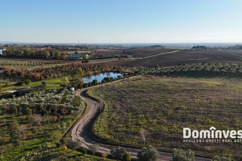 Landejendom i Capalbio, Grosseto, Capalbio - € 1.070.000 | Ref: V-253 - foto 8